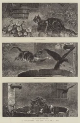 En katastrofe, den nye fortælling om en balje